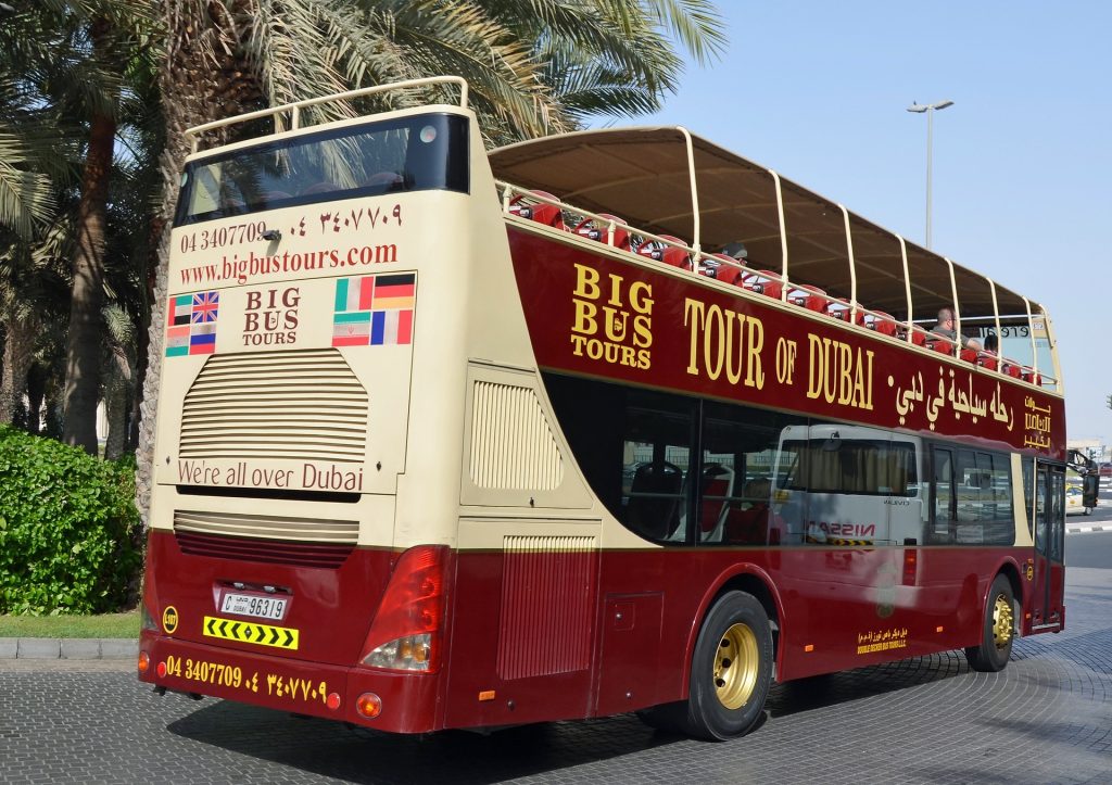 Explore city with a local bus tour