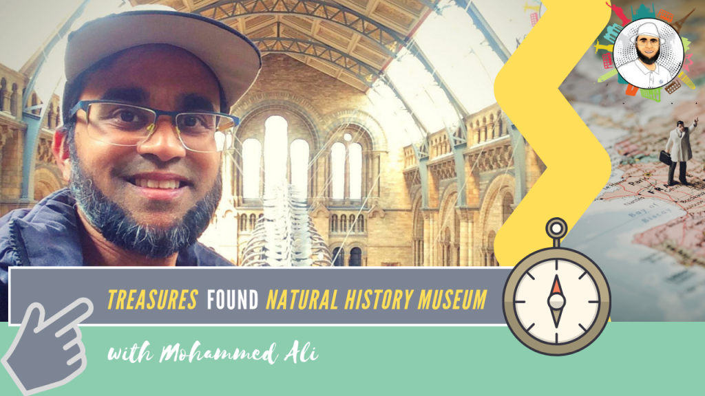 Day out in London | Treasures in British Natural History Museum